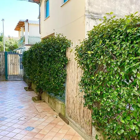 公寓 Peace Nest Dei Marmi *